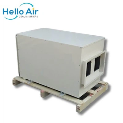 تجفيف السجاد استخدم مزيل الرطوبة